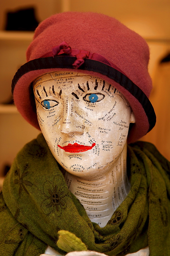 Bust wearing hat and shawl, decorative piece in clothing shop in Erlangen, Middle Franconia, Bavaria, Germany, Europe