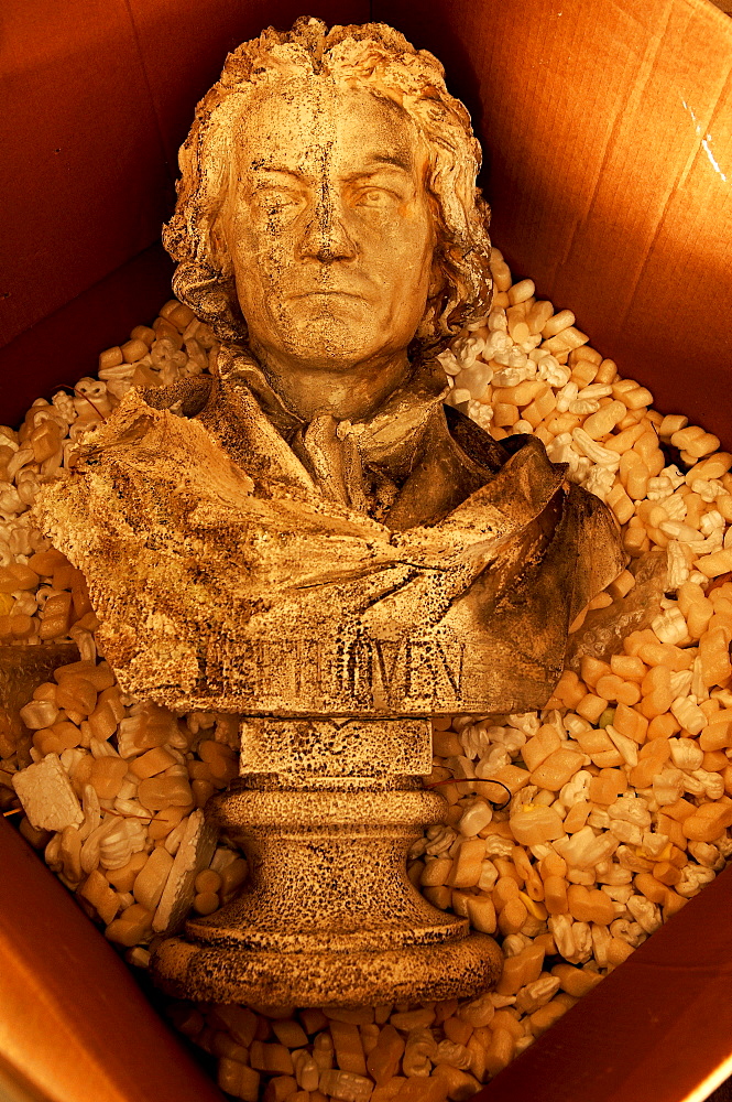 Beethoven bust in a box