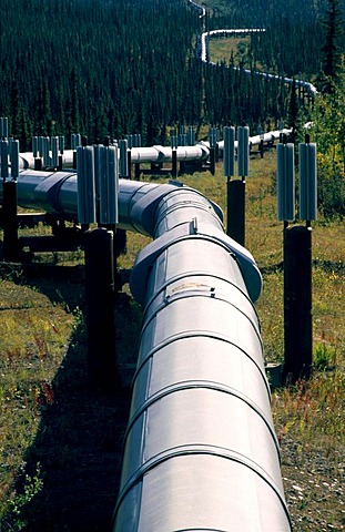 Alaska Pipeline, Dalton Highway, Alaska, USA, North America