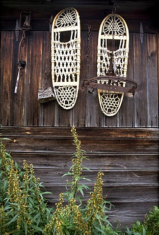 Snow shoes hanging on a gold digger's hut, Denali Village, Denali National Park, Alaska