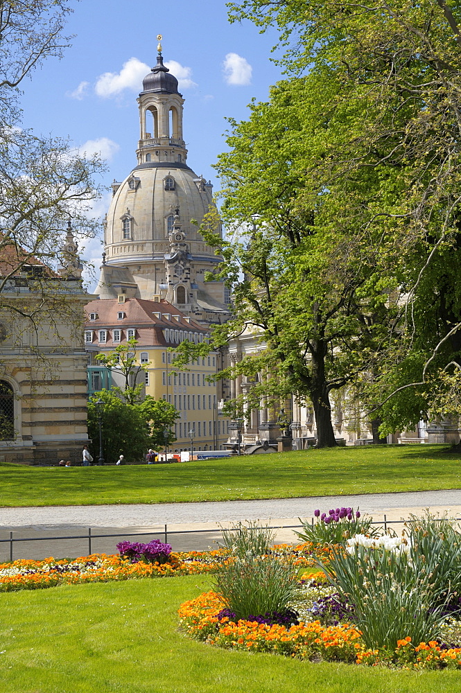 Park at the Elbe River bank, Frauenkirche Church, Dresden, Saxony, Germany, Europe