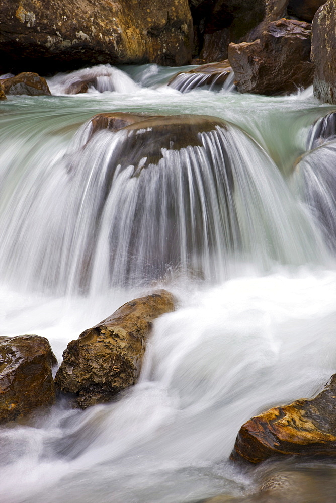 Detail, Sulzaubach brook, Stubaital Valley, North Tyrol, Austria, Europe