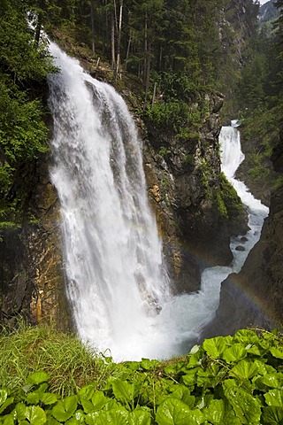 Uppermost cascade of the Reinbachfaelle Waterfalls, Rein in Taufers, Ahrntal Valley, Bolzano-Bozen, Italy, Europe