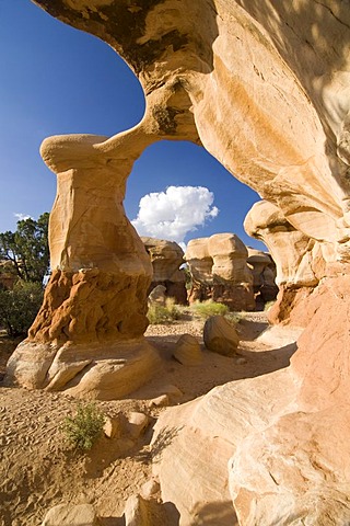 Metate Arch sandstone formations in the Devils Garden, Grand Staircase-Escalante National Monument, Utah, USA, North America