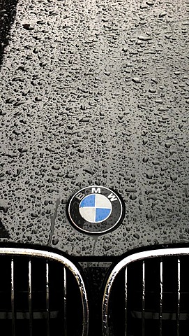 Rain drops on the paint of a car hood