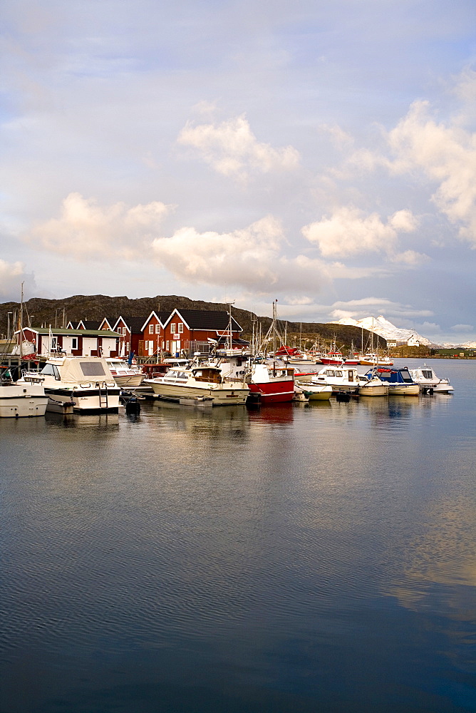 Bodo harbour, North Norway, Scandinavia, Europe