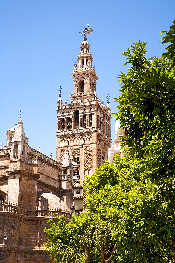 Cathedral, Seville, Andalusia, Spain, Europe