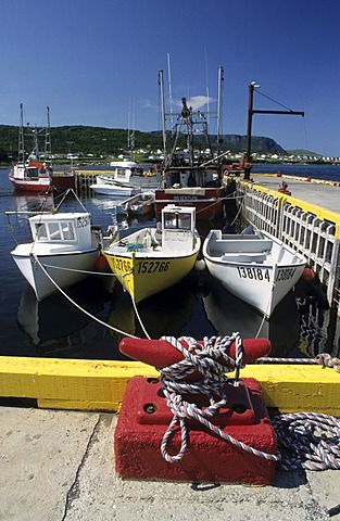 Fishing harbour of Rocky Point near Gros Morne National Park, Newfoundland