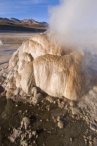 Geyser at the geyserfiel of El Tatio, Chile