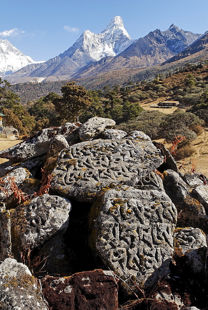 Mani stone at Tengpoche monastery in front of Ama Dablam (6856), Sagarmatha National Park, Khumbu, Nepal