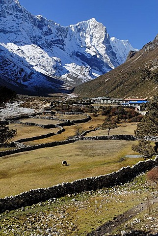 Thame Sherpa village, Thame Khola valley with Tengkang Poche (6500), Bhote Koshi Tal, Sagarmatha National Park, Khumbu, Nepal