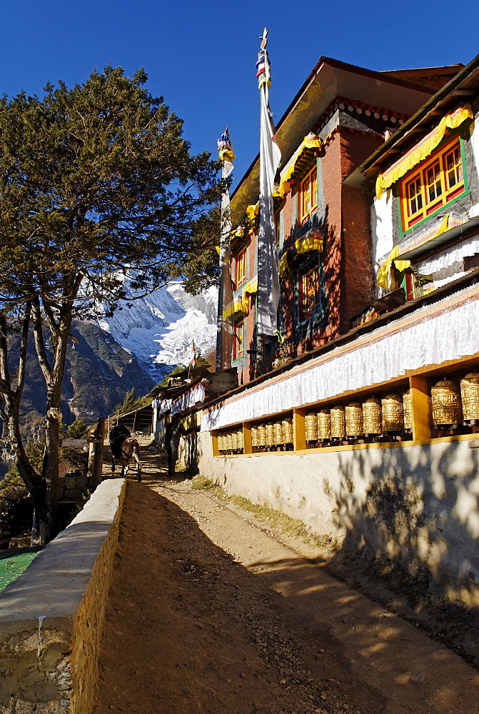 Buddhist monastery at Namche Bazar, Sagarmatha National Park, Khumbu Himal, Nepal