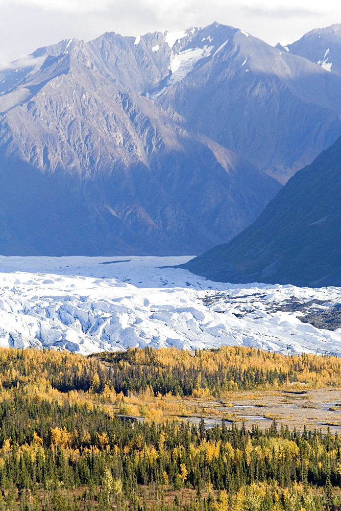 Matanuska Glacier, fall colors, Chugach Mountains, Alaska, USA