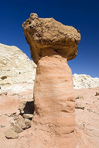 Toadstool Hoodoos, Utah, USA