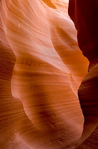 Lower Antelope Canyon, Page Arizona, USA