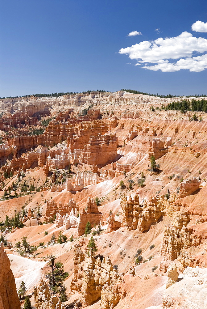 Bryce Canyon National Park, Utah, USA