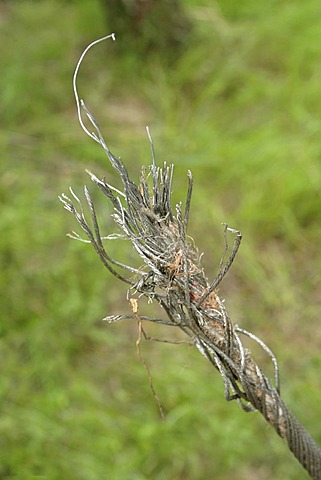 Broken wire rope