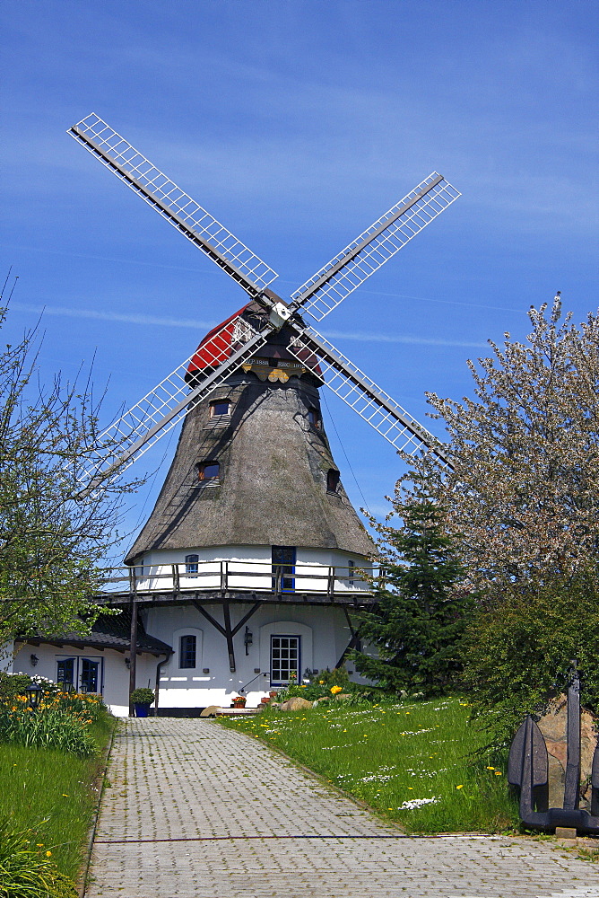 Historic windmill in Groedersby on the Schlei River, Schleswig-Holstein, Germany, Europe