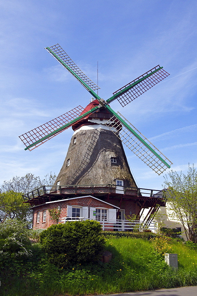 One-storeyed Galeriehollaender Windmill, historic windmill named Lindaumuehlenholz in Boren-Lindau on the Schlei River, Schleswig-Holstein, Germany, Europe