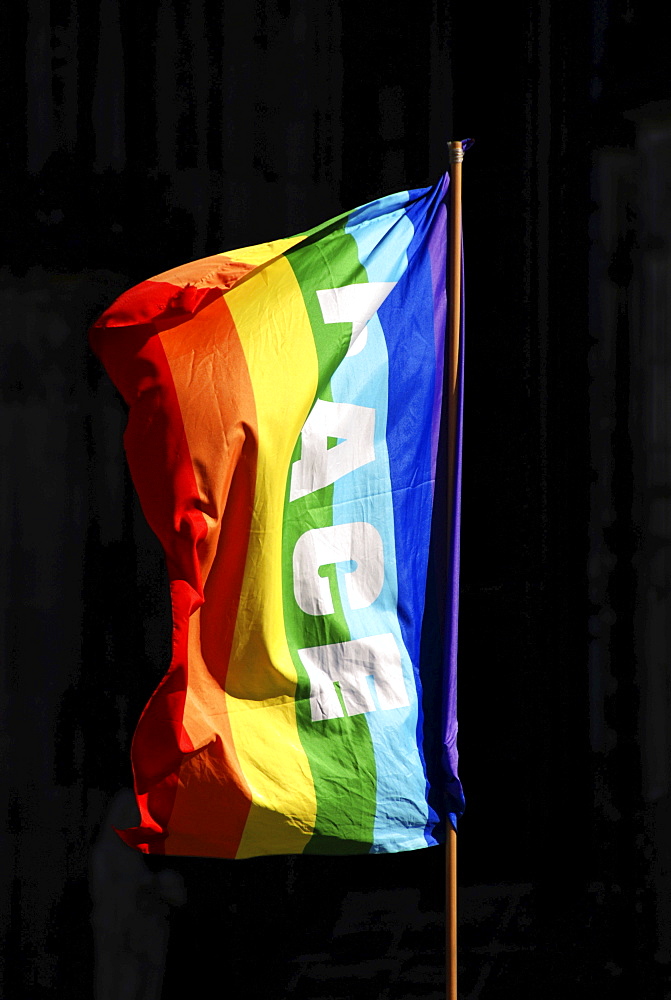 Peace rainbow flag