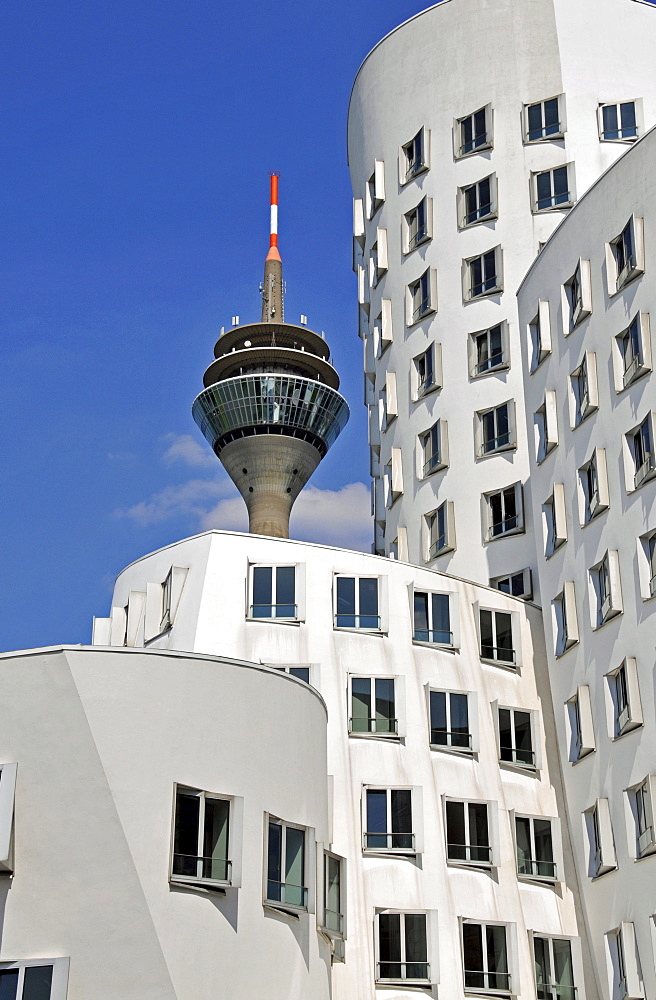 Buildings designed by Frank Gehry and the television tower, Duesseldorf, North Rhine-Westphalia, Germany, Europe