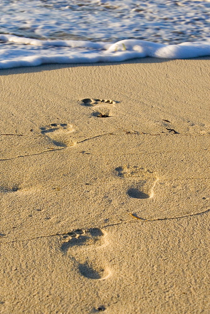 Footprints on a beach, Nosy Nato, Madagascar, Africa