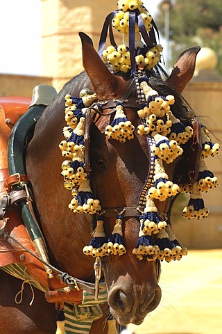 Decorated horse , Feria de Caballo , Jerez de la Frontera , Cadiz , Andalusia , Spain , Europe