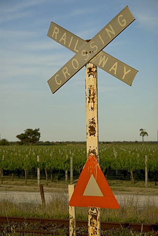 Former railway crossing, vineyard, Coonawarra, South Australia, Australia