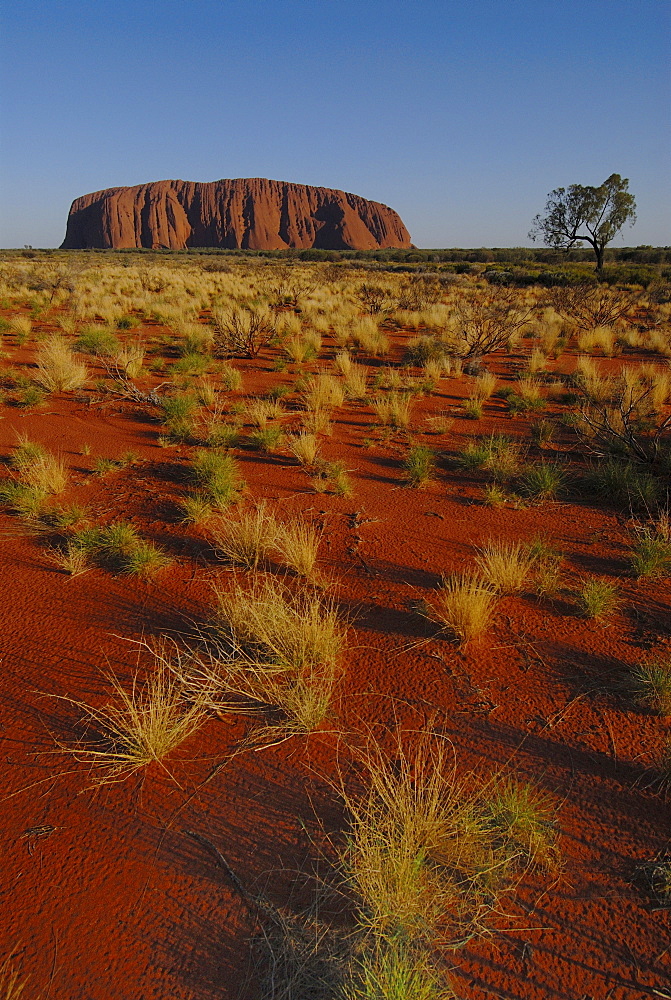 Ayers Rock, called Uluru, magic rock of the Aboriginals, Yulara, Ayers Rock, Northern Territories, Australien, Australia