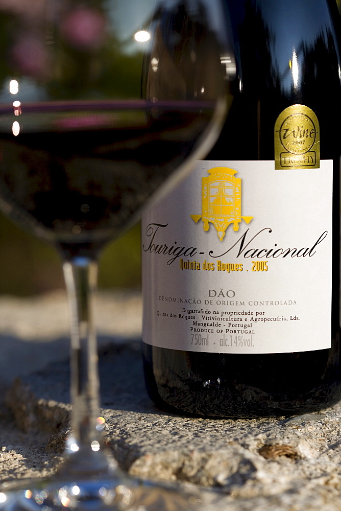 Red wine Touriga Nacional by the Oenologist Rui Reguinga, from the Quinta dos Roques winery in Cunha Baixa, Centro, Duo, Portugal, Europe