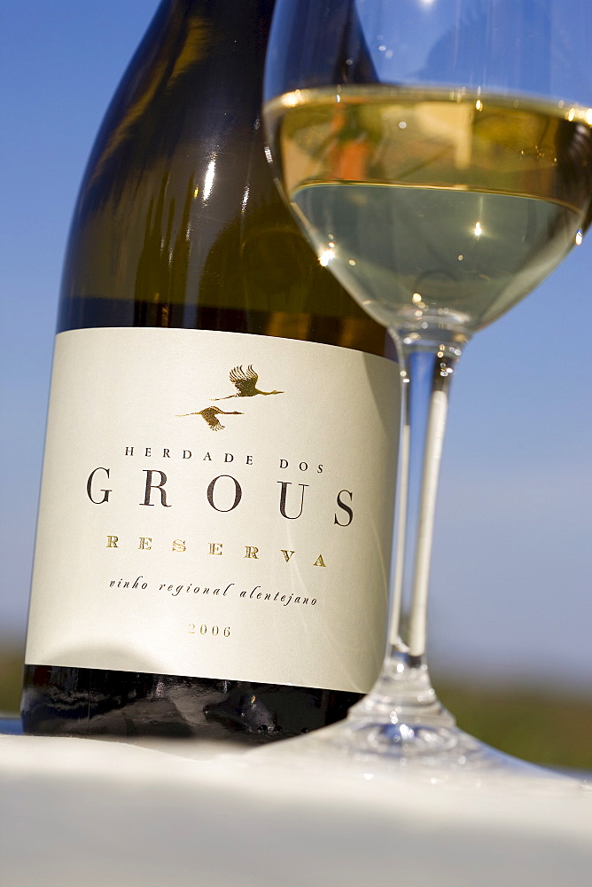 White wine from the winery Herdade dos Grous, Crane Manor, Alentejo Region, Portugal, Europe