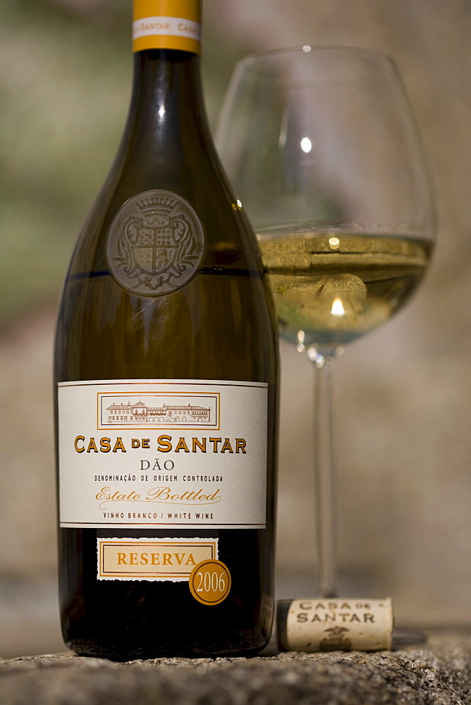 White wine, Reserva, Casa de Santar, winery belonging to the Dao Sul company, Carregal do Sal, Dao, Portugal, Europe