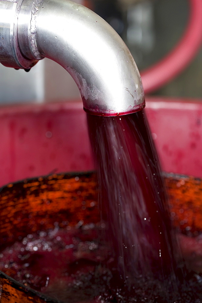 Must being decanted, wine press house of Quinta de Carapecos near the village of Amarante, Porto area, North Portugal region, Portugal, Europe