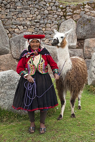 Elderly Peruvian woman with a traditional costume and a Llama, Saqsaywaman near Cuzco, Peru, South America