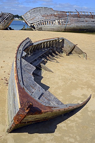 Wrecks of two old wooden ships at the banks of river âˆšÃ¢tel, southern Brittany, Bretagne, France, Europe