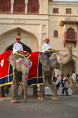 Elephants at the Gangaur Festival, Jaipur, Rajasthan, India