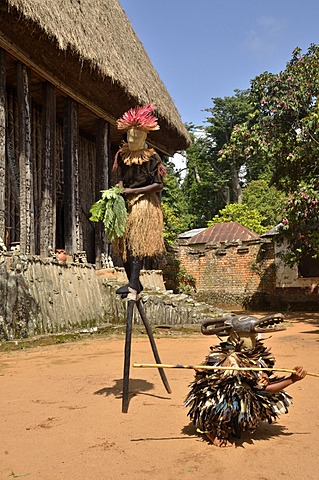 Traditional dance at the palace of Bafut, one of the traditional kingdoms of Cameroon, near Bamenda, north west Cameroon, Central Africa, Africa