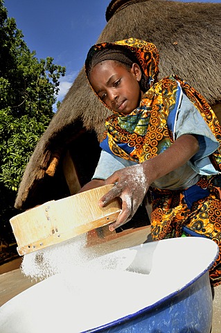 Young girl in the village of Idool sifting flour, near NgaoundâˆšÂ©râˆšÂ©, Cameroon, Central Africa, Africa