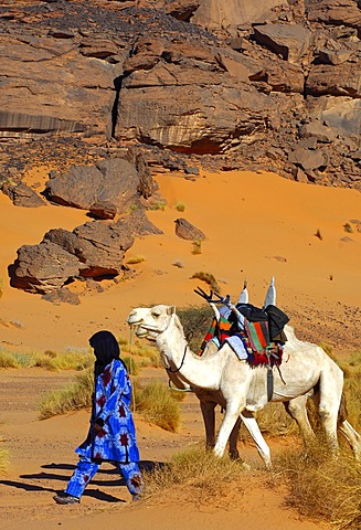 Tuareg with white Mehari riding dromedary, Acacus Mountains, Libya