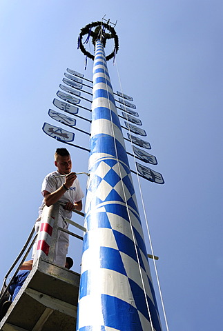 Erection of a maypole, Eurasburg, Upper Bavaria, Bavaria, Germany, Europe