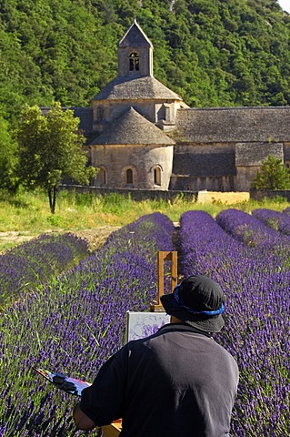 Artist painting in lavender field at Abbaye Notre-dame de Senanque, Senanque Abbey, Gordes, Provence, France, Europe