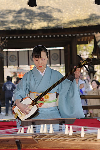 Woman playing a Shamisen, a Japanese three-stringed musical instrument, Kyoto, Japan, Asia