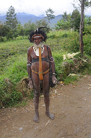 Dani, grandfather in traditional costume, Wamena, New Guinea, Indonesia, Southeast Asia