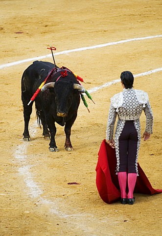 Torero and bull, bull fight, Benidorm, Spain, Europe