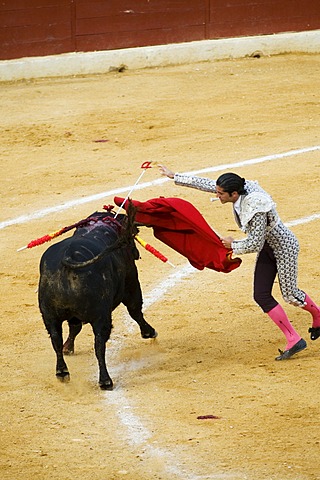 Matador, bullfighter, Benidorm, Spain, Europe