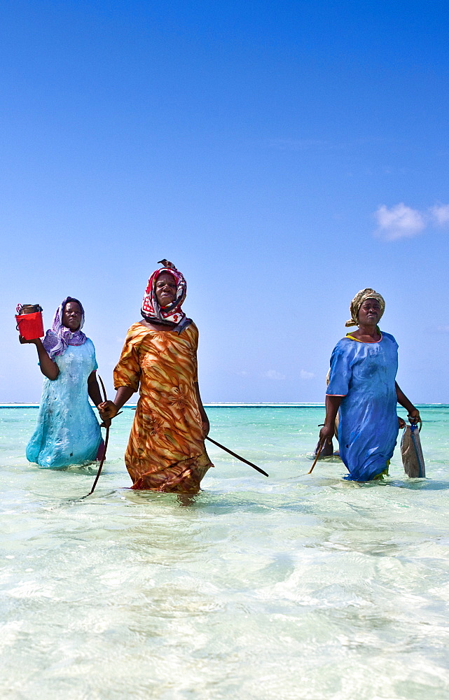 Brightly dressed women walking to the beach after fishing, Zanzibar, Tanzania, Africa