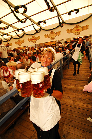 Waitress, Wies\'n, October fest, Munich, Bavaria, Germany, Europe