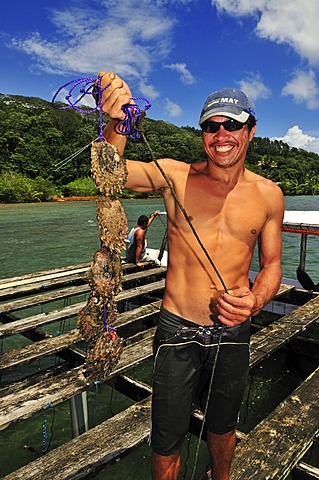 Man at Tauahei pearl farm, Raiatea or Ra'iatea, Leeward Islands, Society Islands, French Polynesia, Pacific Ocean