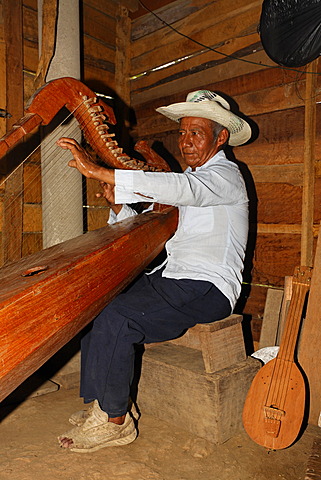 Native musician playing a self-made instrument, harp, wooden hut, Punta Gorda, Belize, Central America