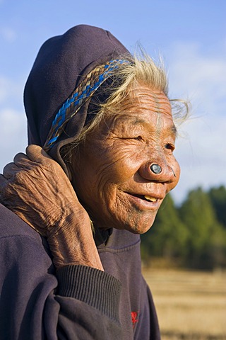 Elderly woman of the Apatani ethnic group, known for the pieces of wood in their nose to make them less attractive to rival tribes, Ziro, Arunachal Pradesh, North East India, India, Asia